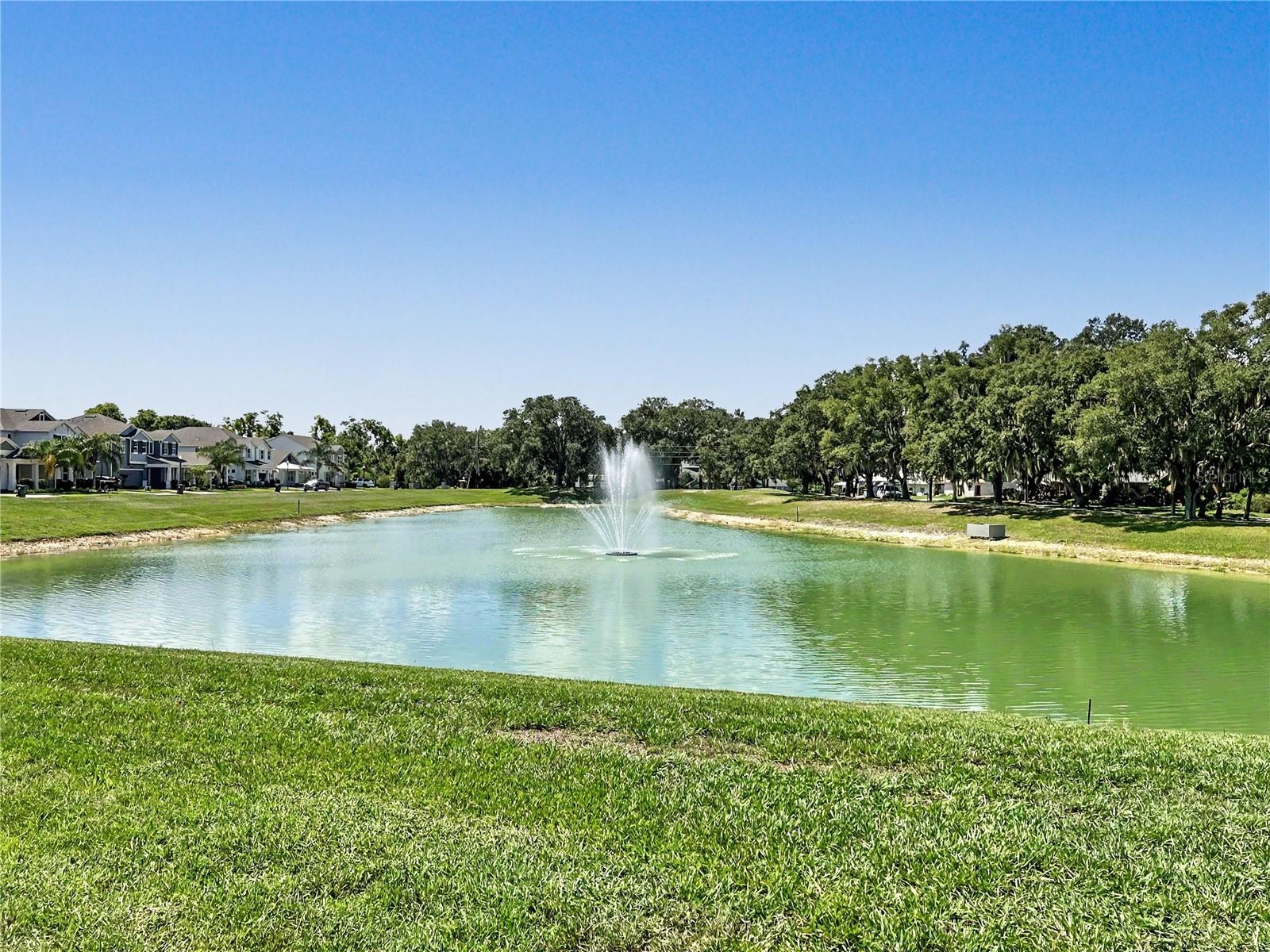 Pond Across the Street