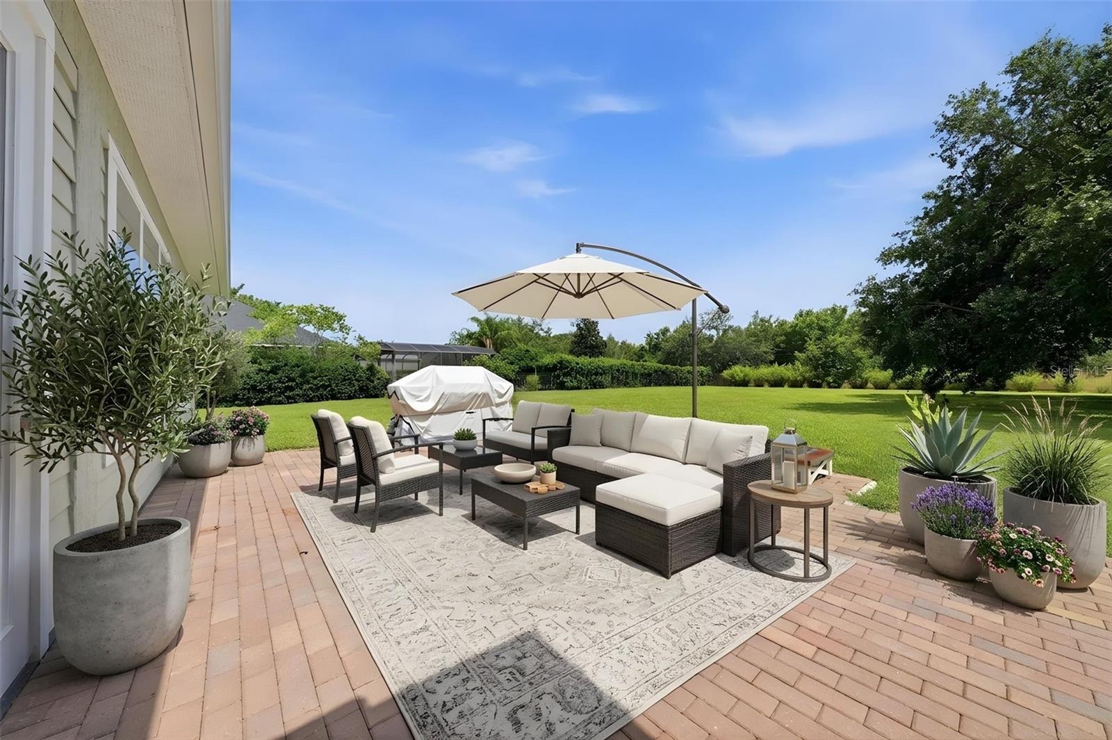 Back Patio