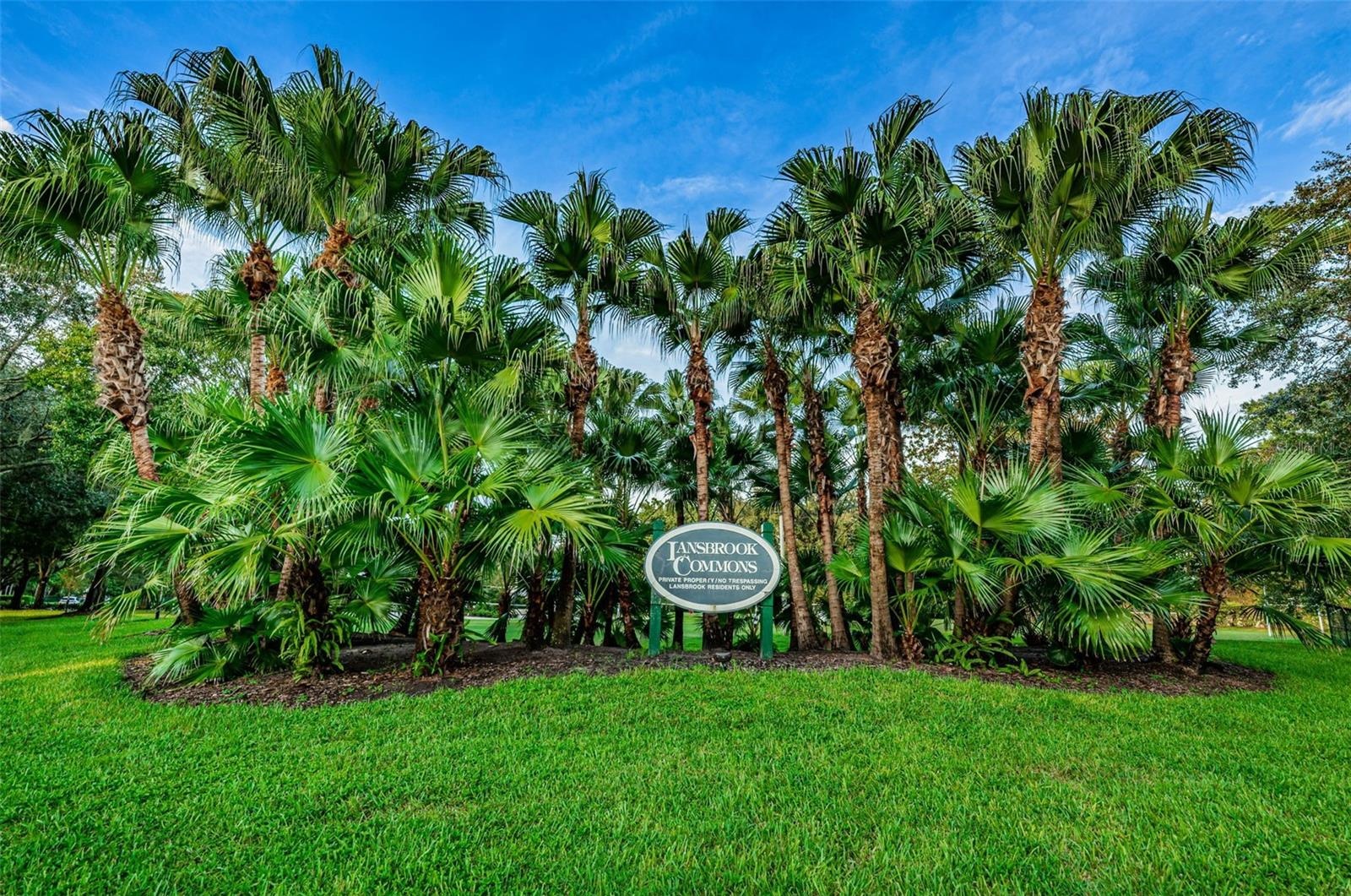 Lansbrook Commons Park