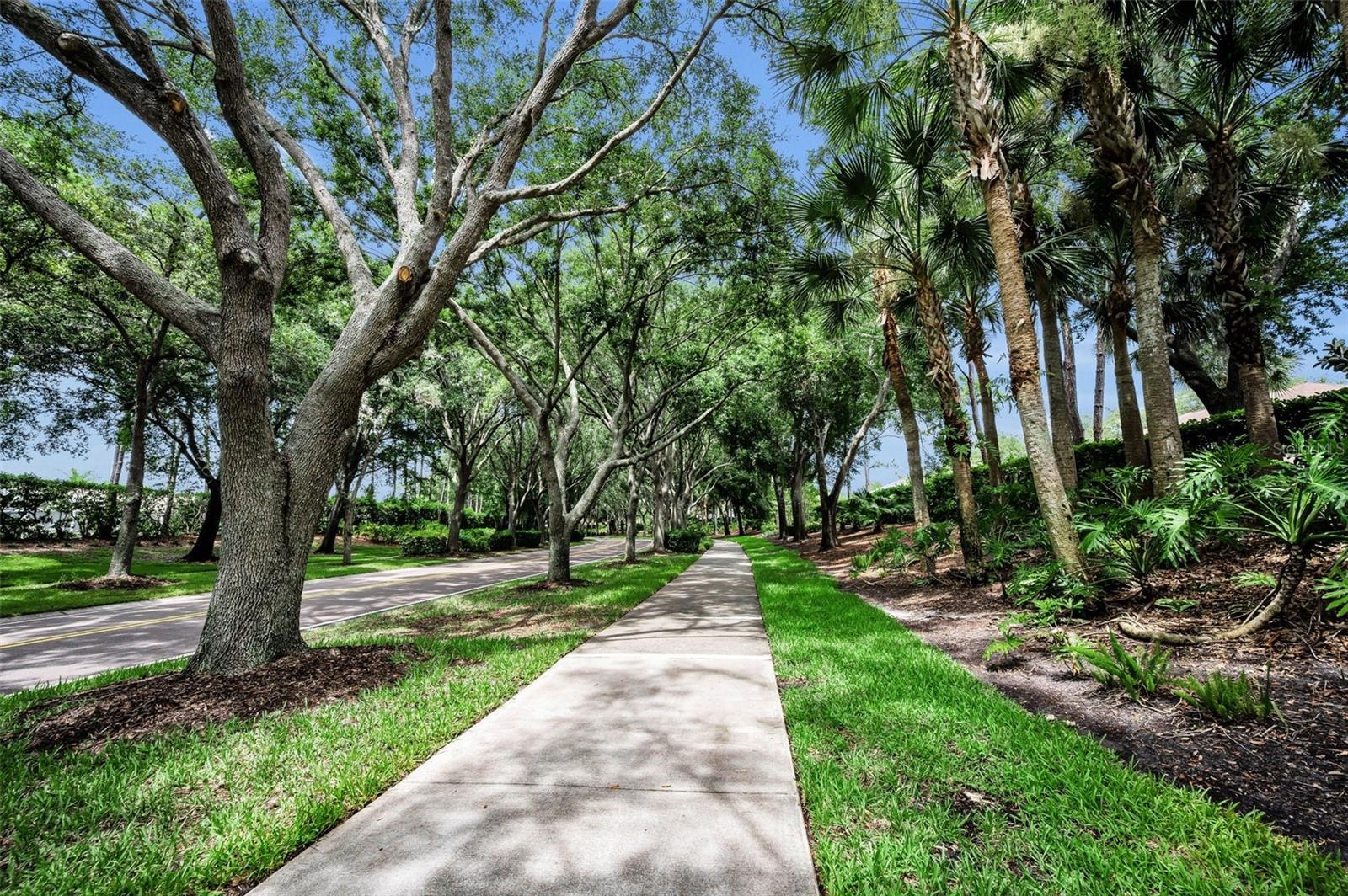 One of many shaded walking paths in Lansbrook