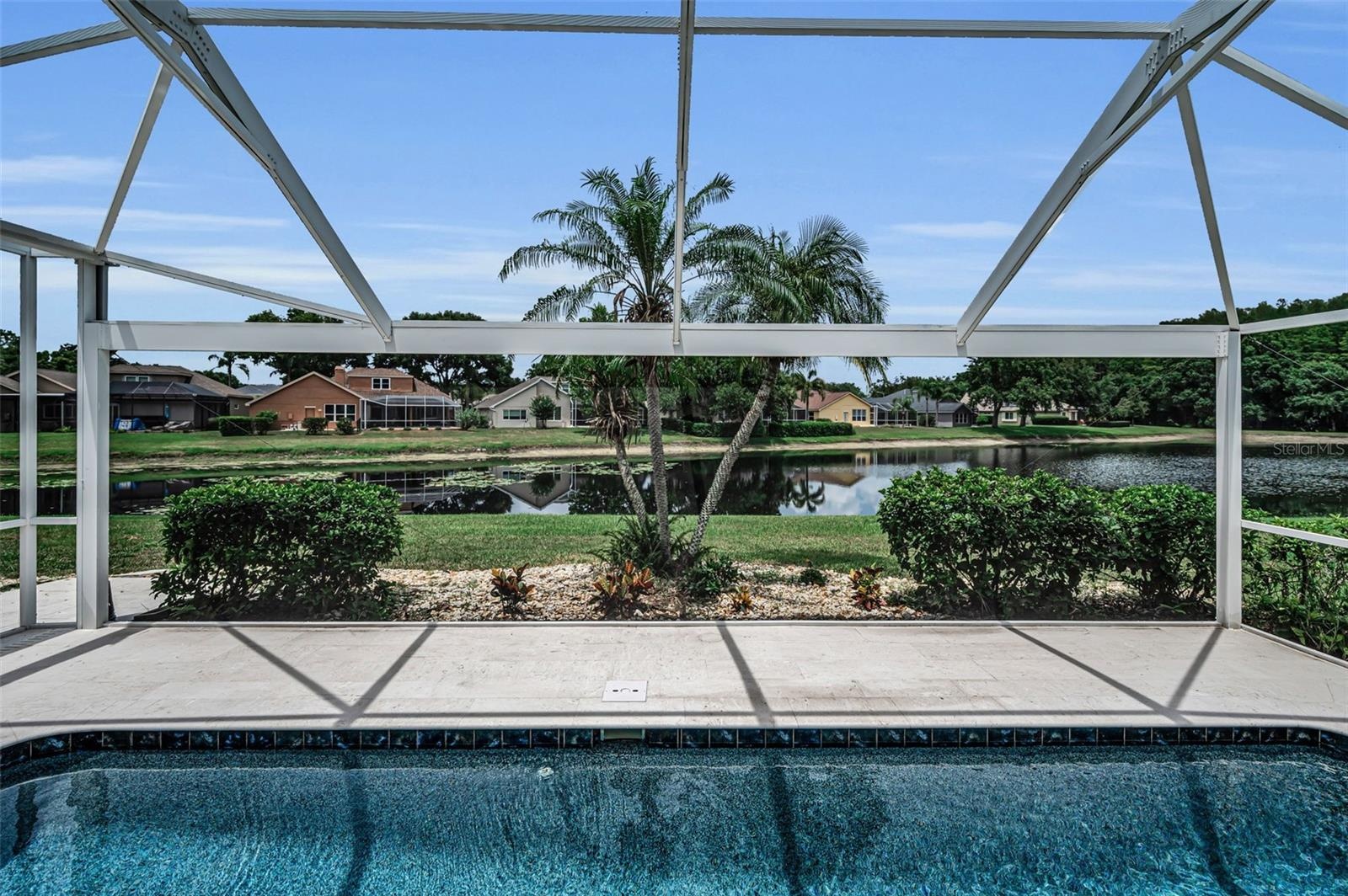 Custom Panoramic pool screen showing view of pond from pool
