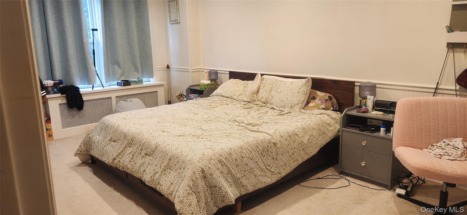 Bedroom with light colored carpet, radiator heating unit, and wainscoting