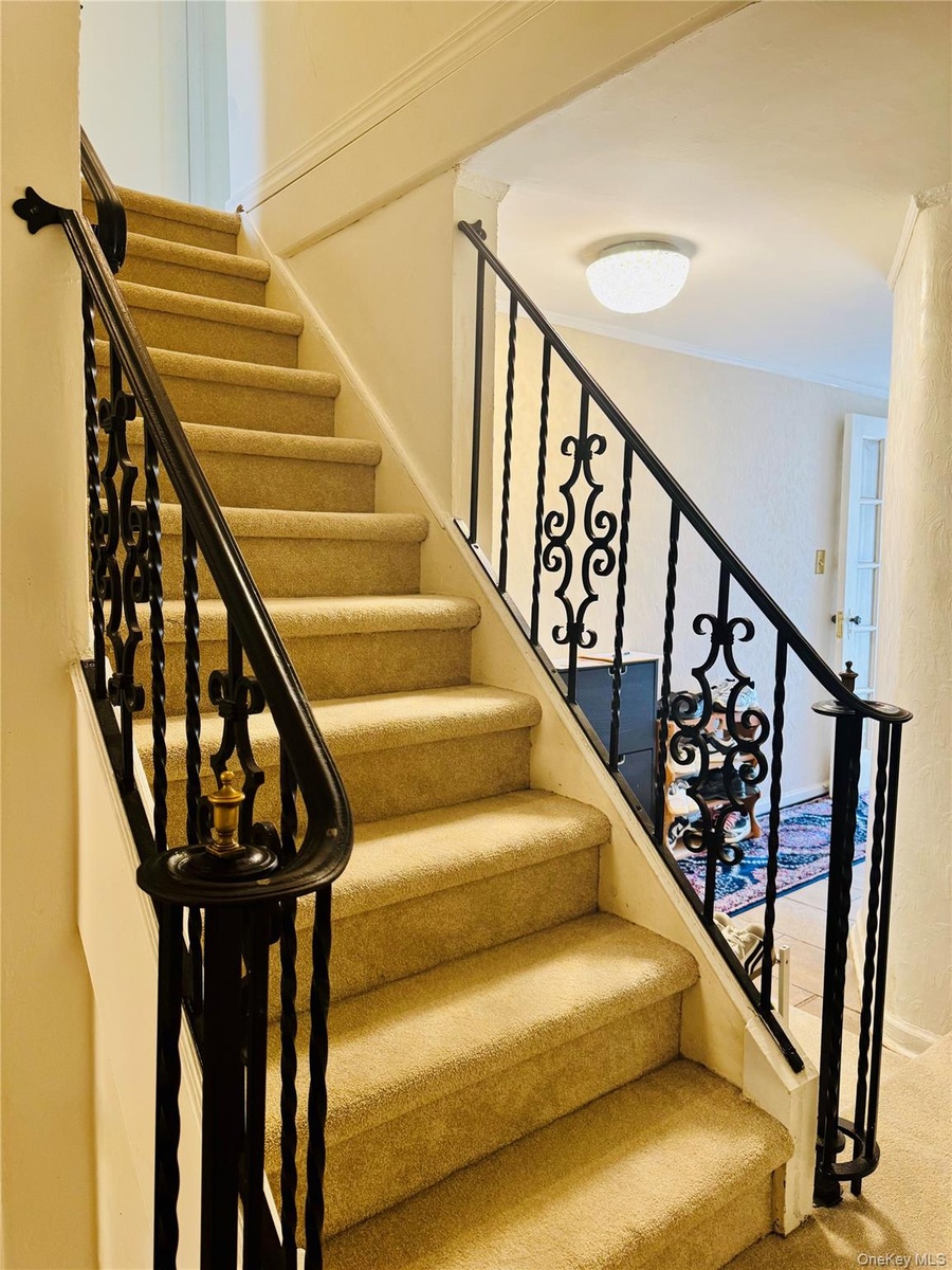 Staircase featuring carpet
