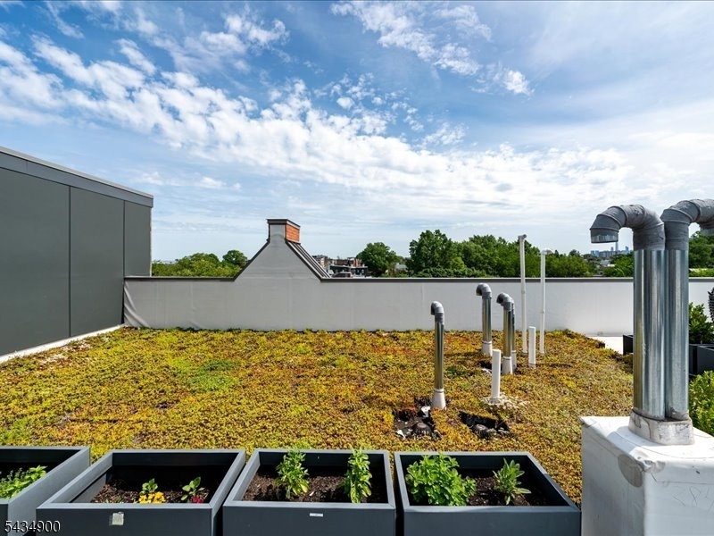 Rooftop
