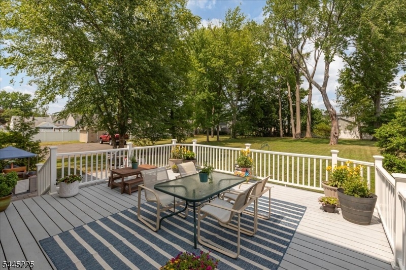 Trex deck