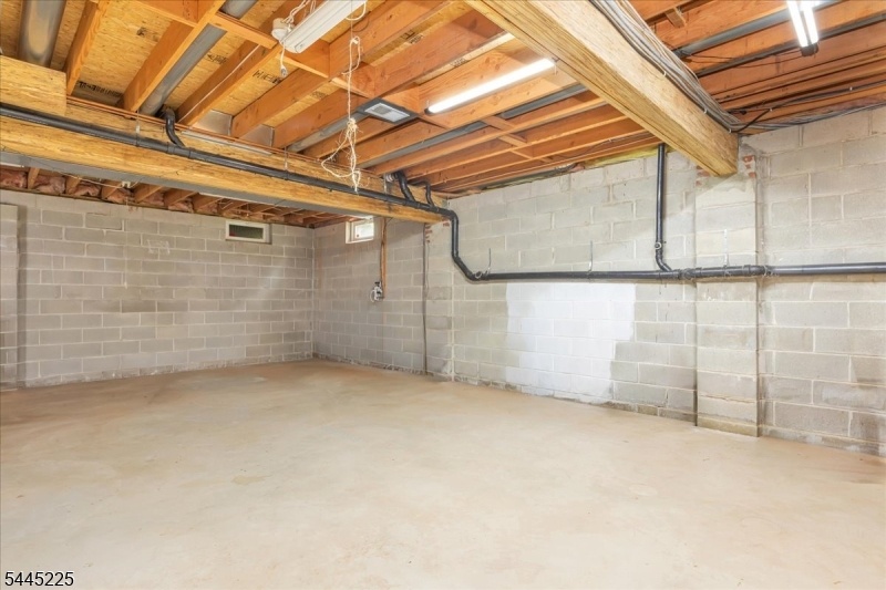 Unfinished Basement