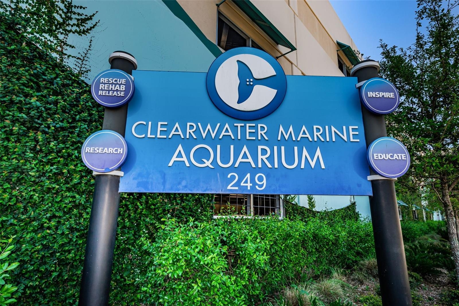 Island Estates is home to Clearwater Marine Aquarium