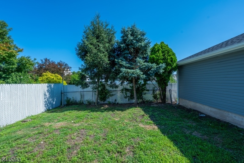 Backyard1