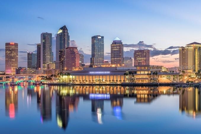3 Miles from Downtown Tampa