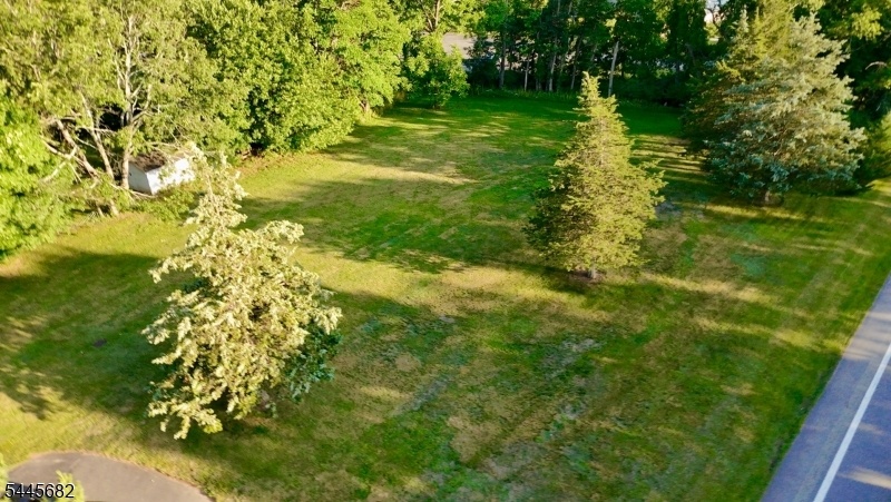 Huge level yard