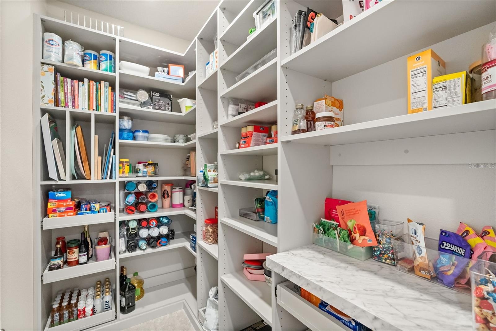 Pantry with custom built ins