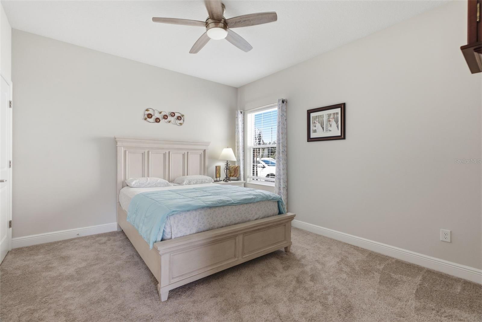 Downstairs bedroom