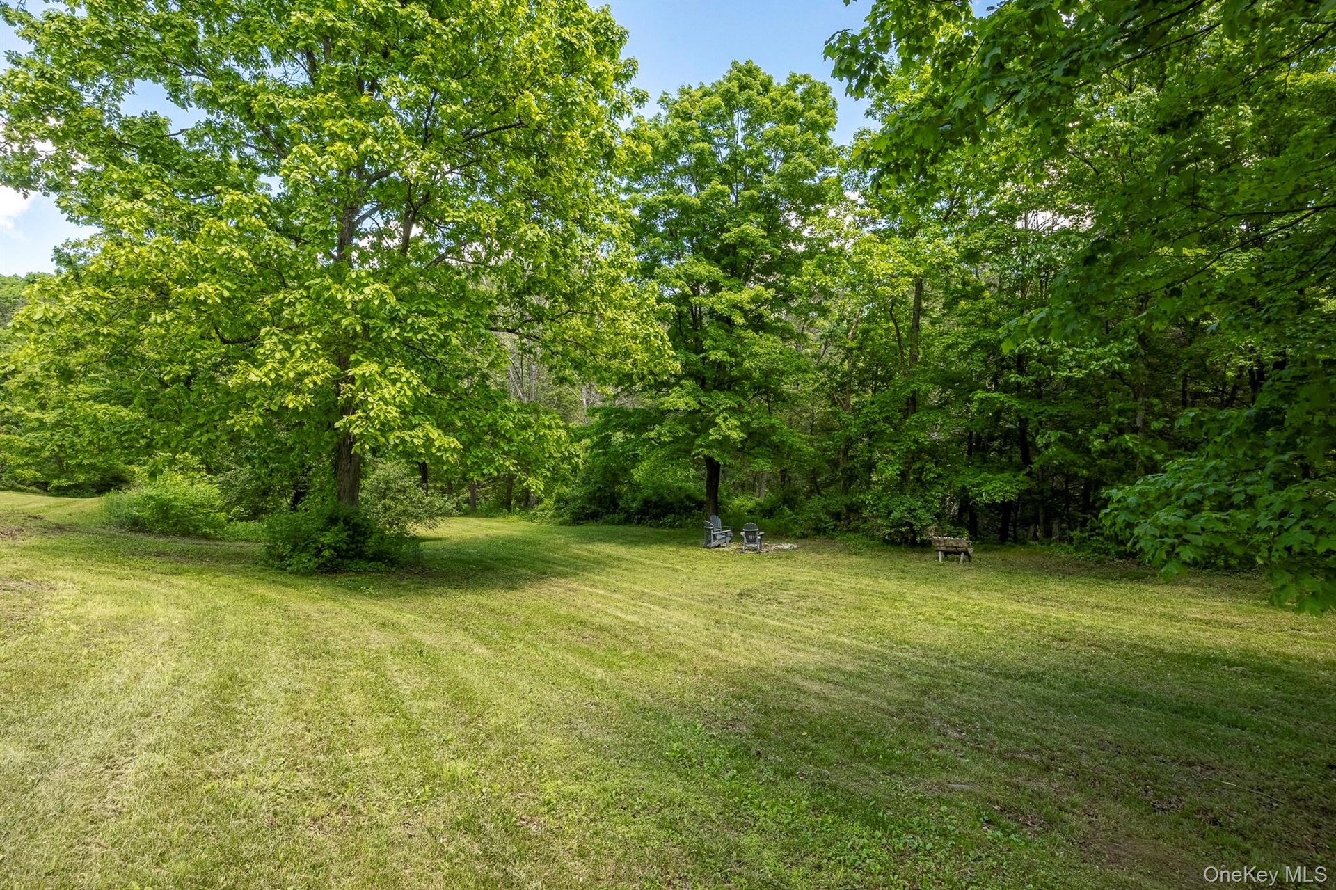 expansive meadow