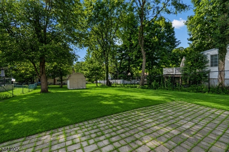 Patio and Shed