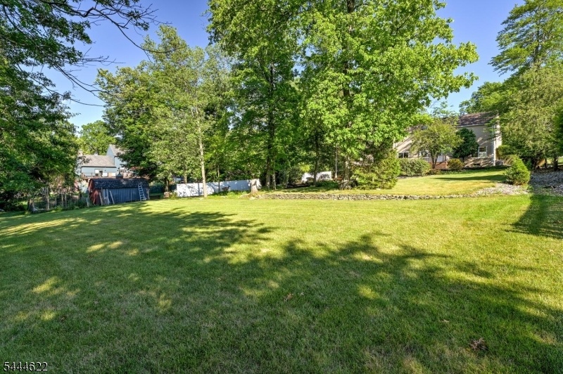 Lovely backyard