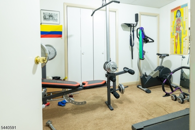 Den/Gym/Bedroom