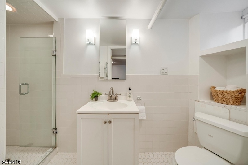 Lower Level Bathroom