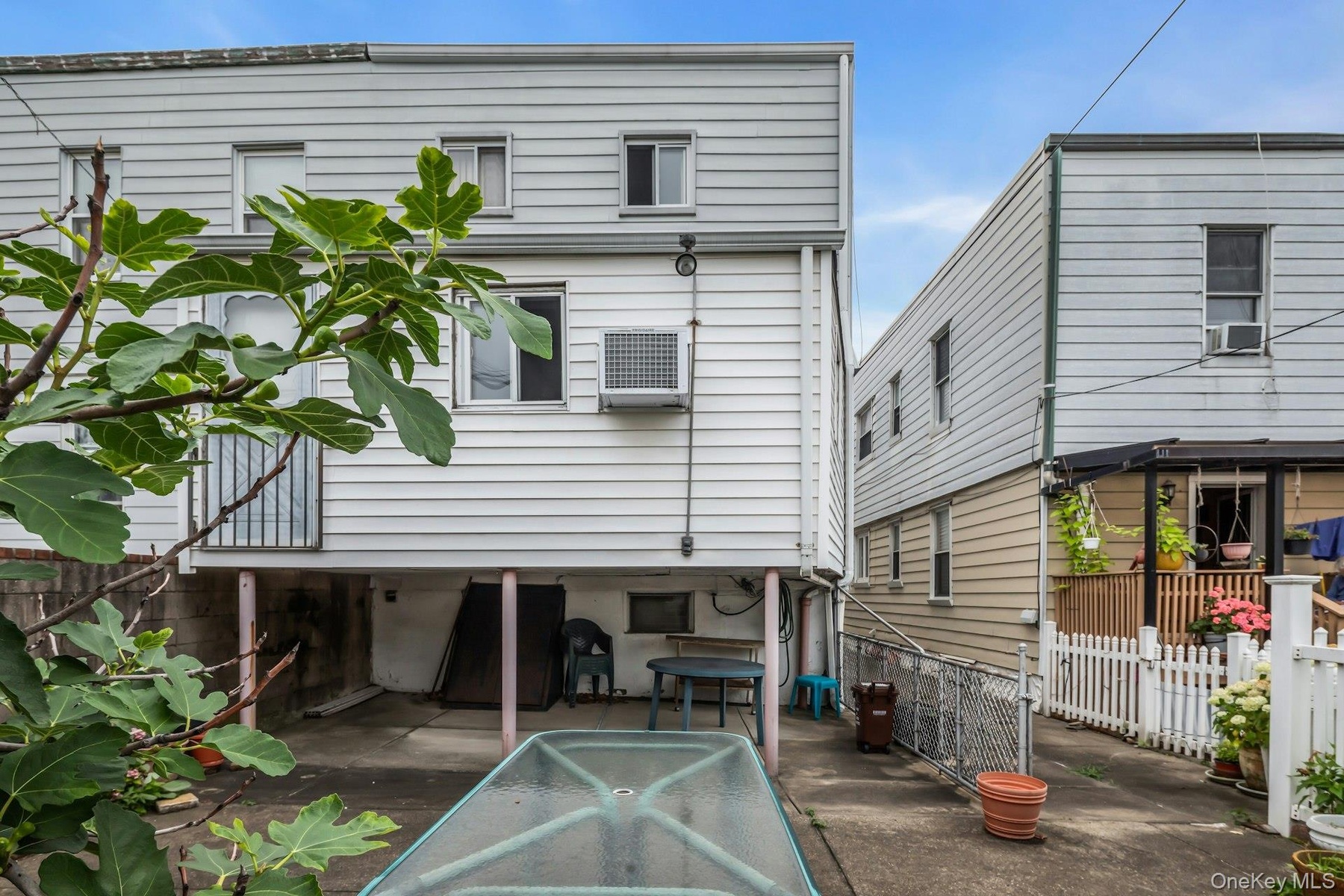 Well-established fig tree is loaded! Level backyard ideal for alfresco dining.