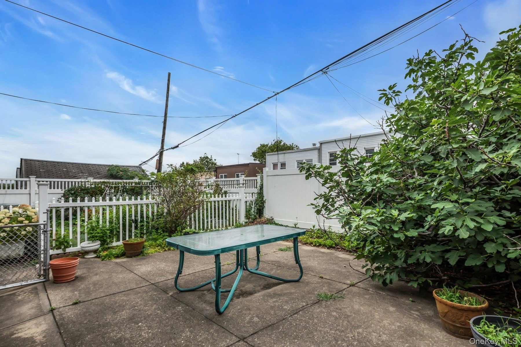 Private and level back yard.