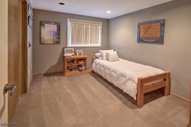 Lower Level Bedroom