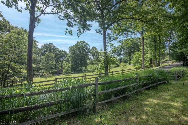 Front Driveway
