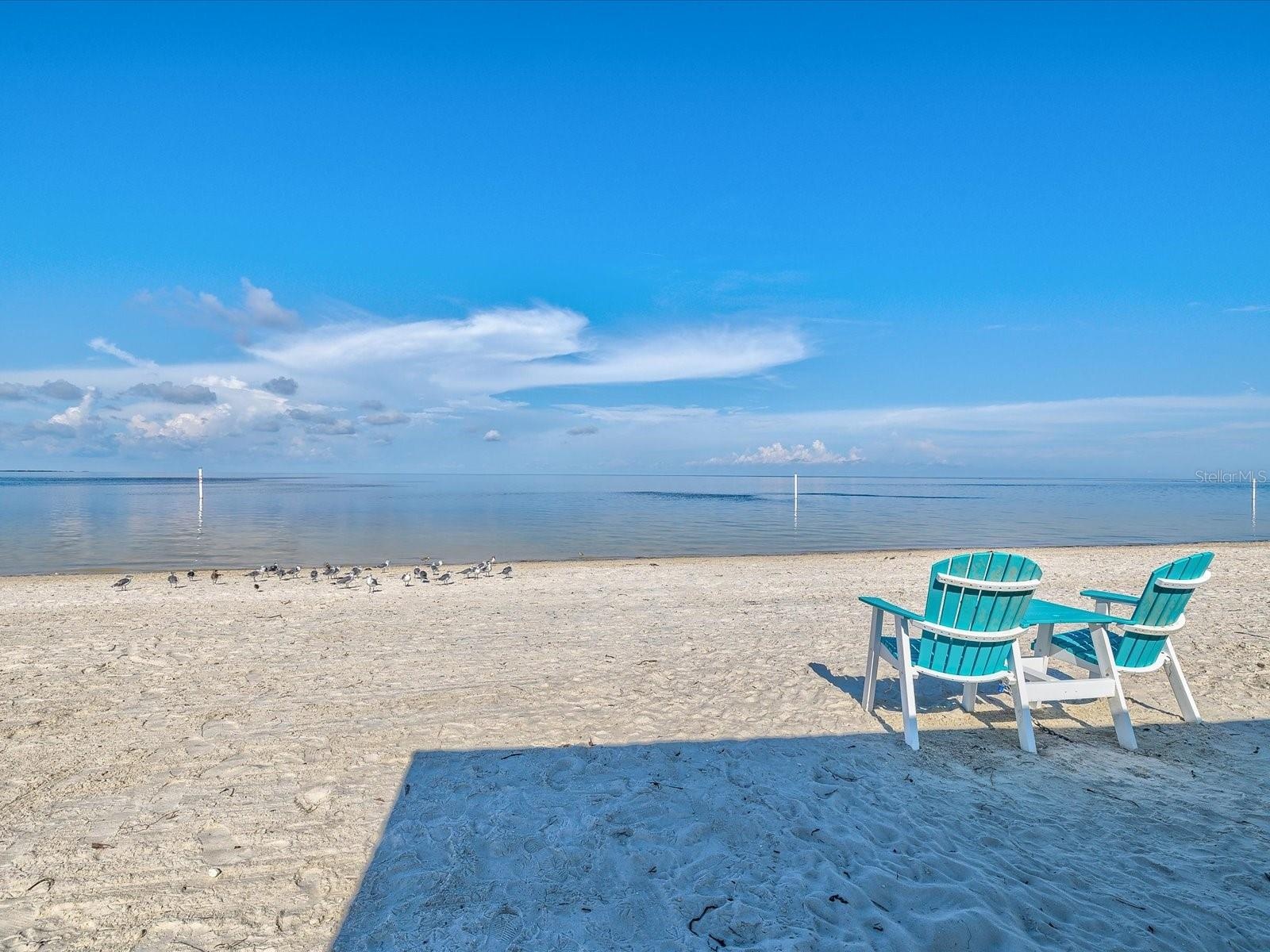 Gulf Harbors Beach Club