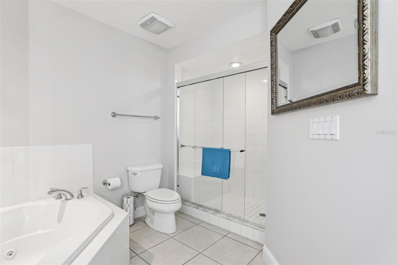 Soaking Tub, separate walk in shower