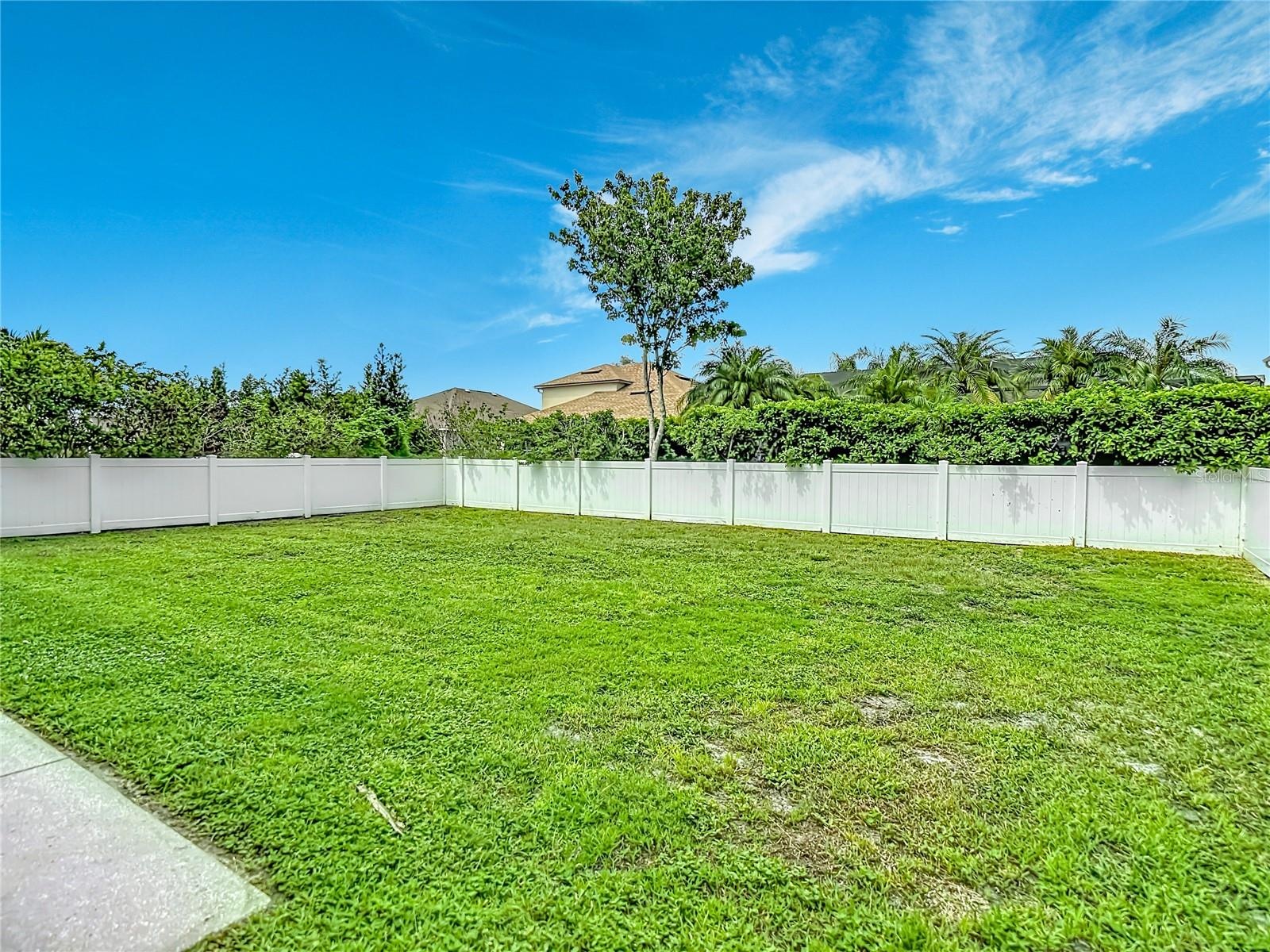 Large fenced backyard