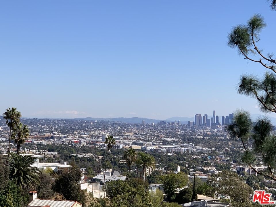 View From Kitchen