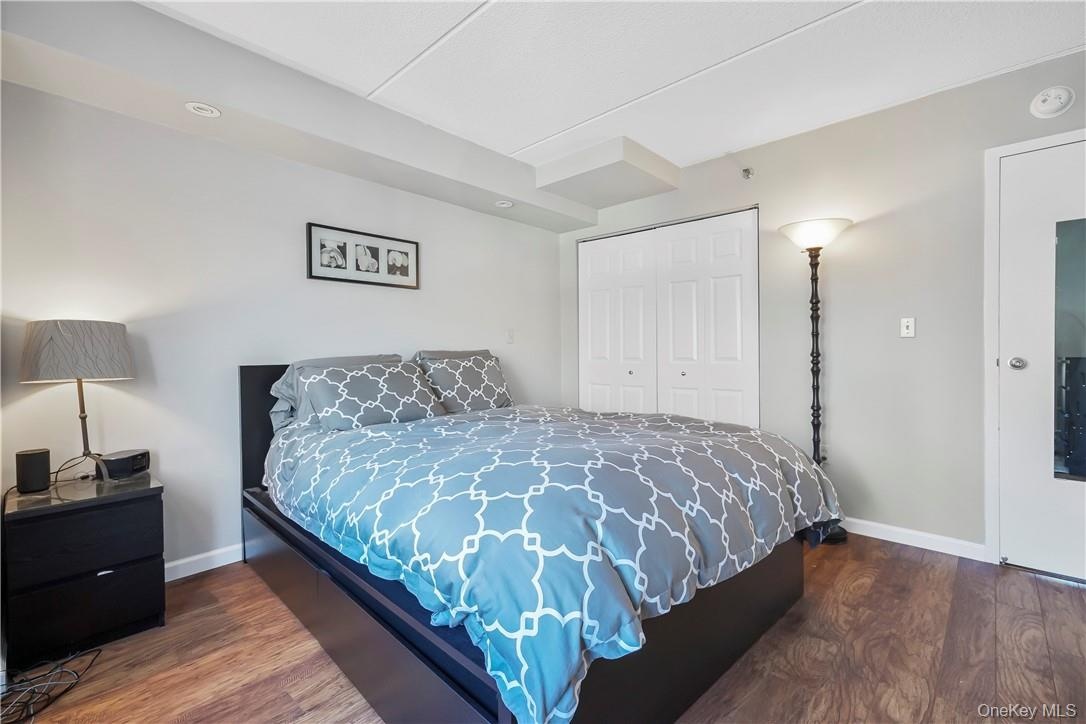Another View Of The Primary Bedroom With Large Closet