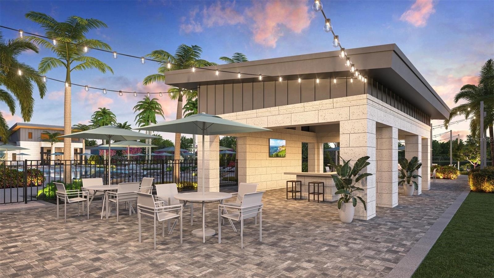 Artist Rendering of Future Amenities