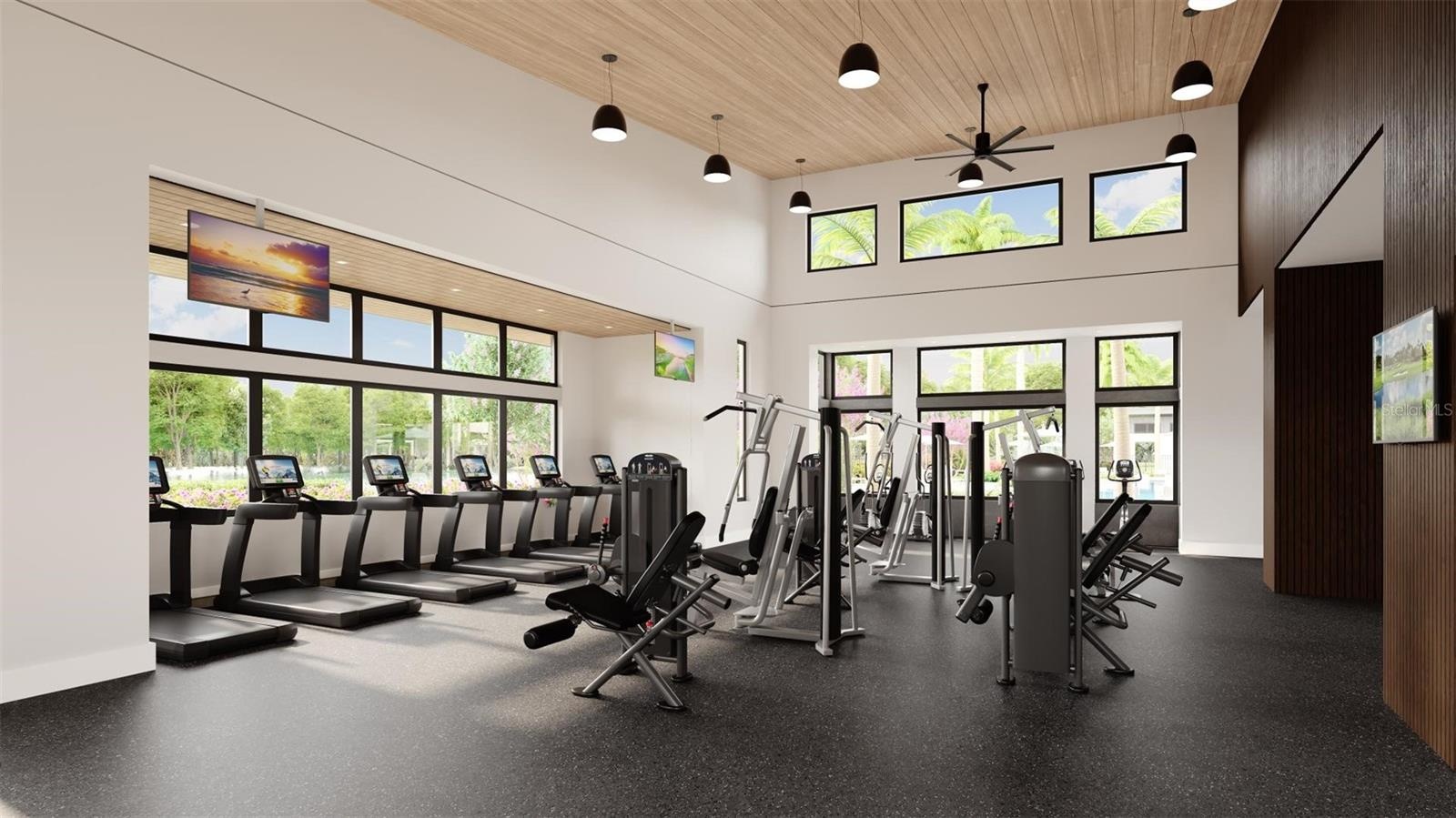 Artist Rendering of Future Amenities