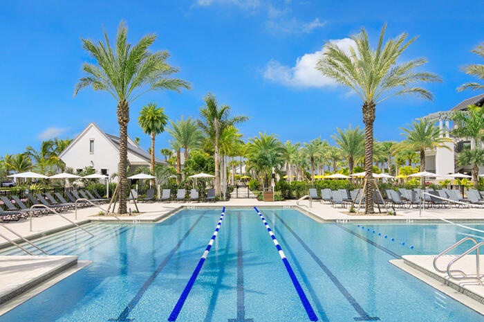 Adult Pool