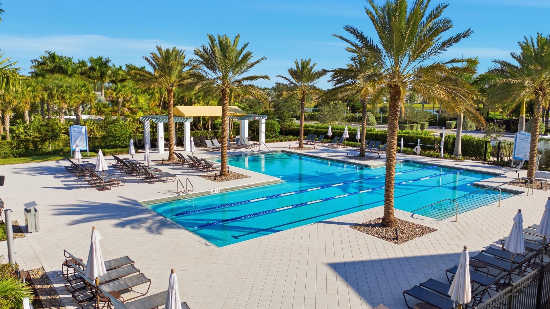 Adult Pool