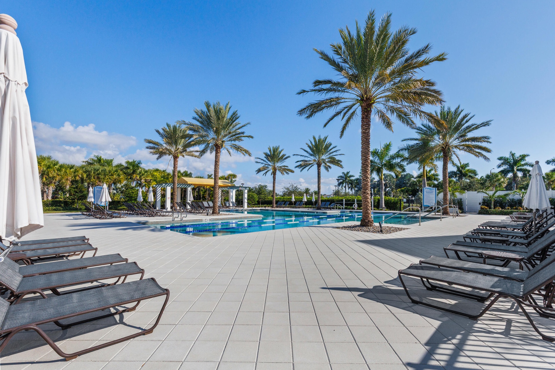 Adult Pool