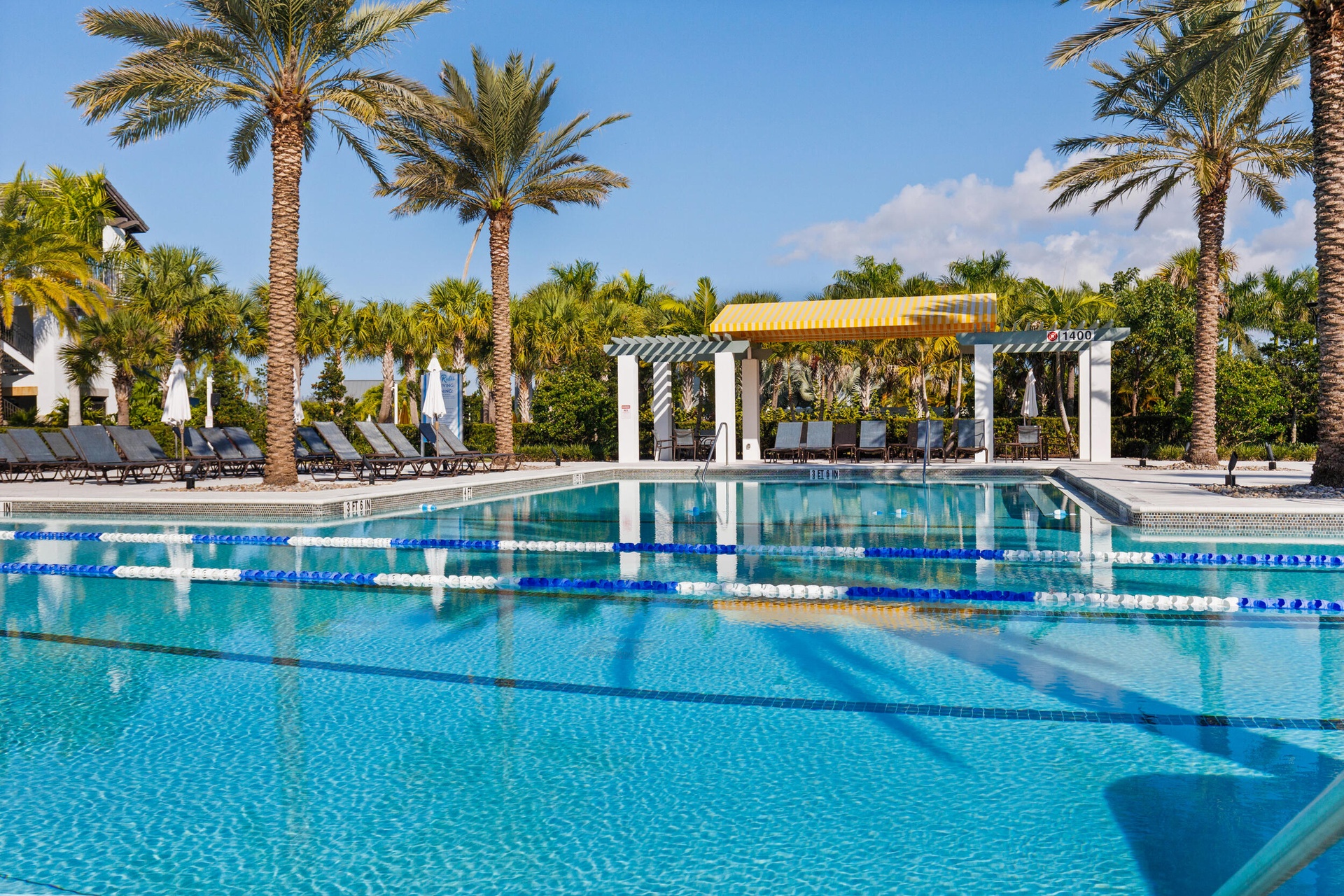 Adult Pool