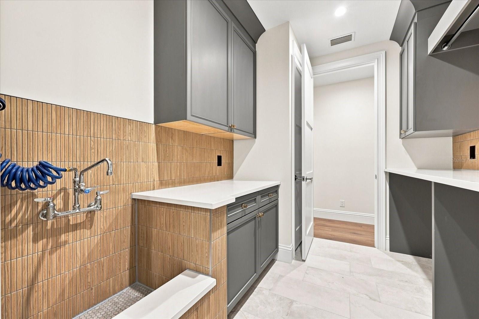 Laundry Room and dog washing station