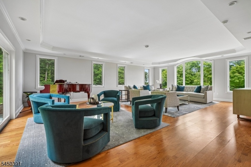 Massive Living Room