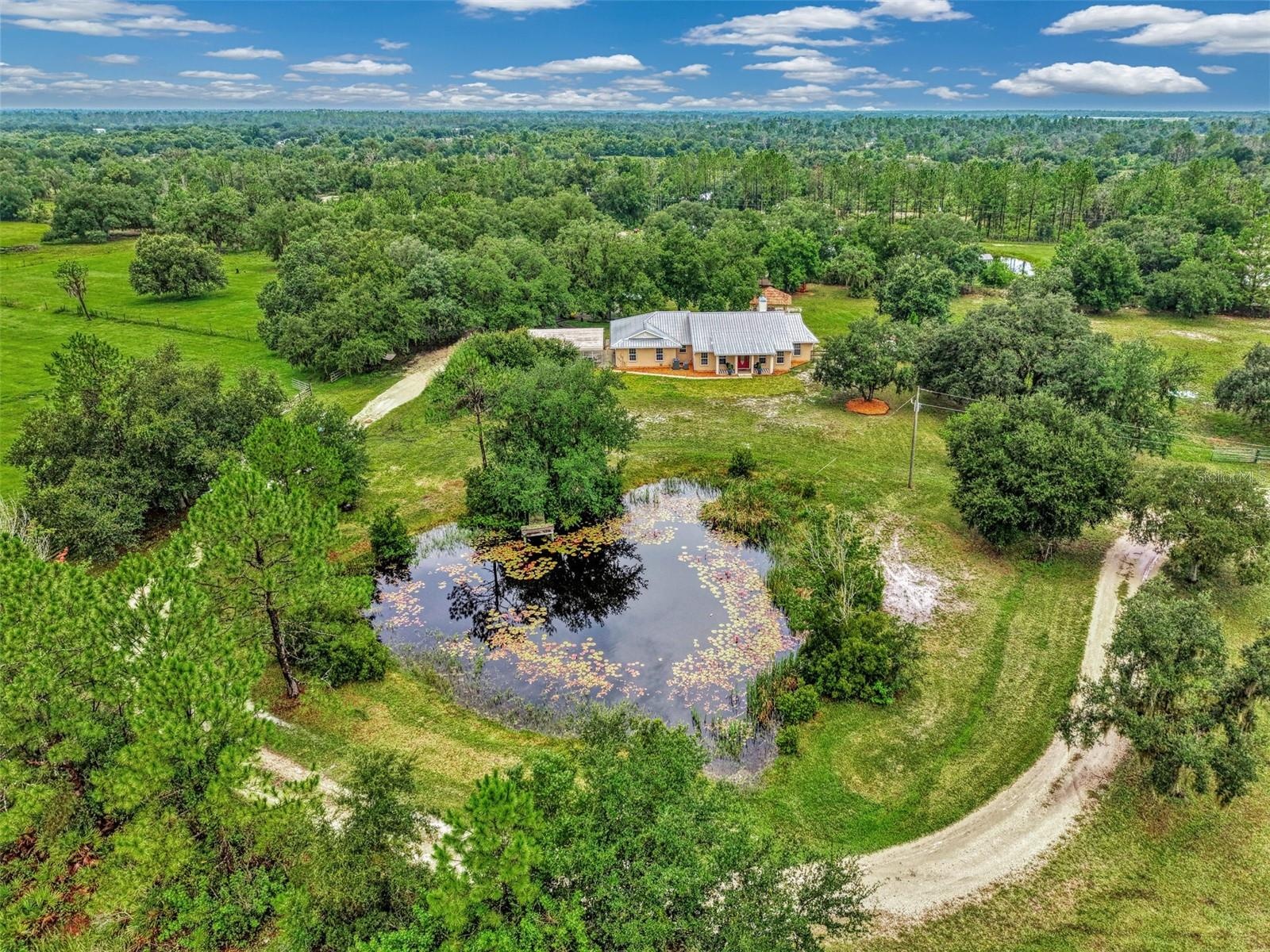 Fishing pond