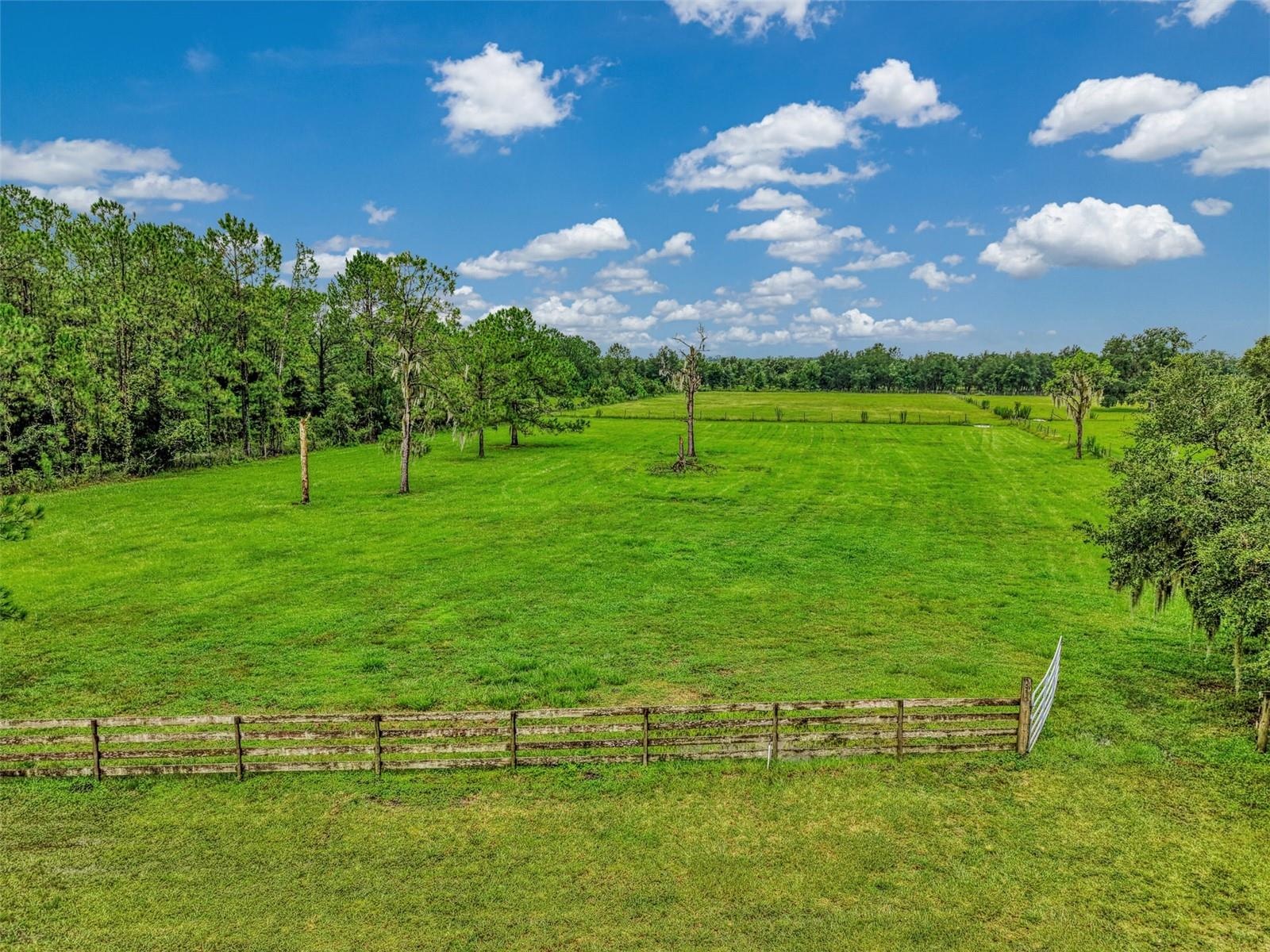 Pristine pastures are ready to graze