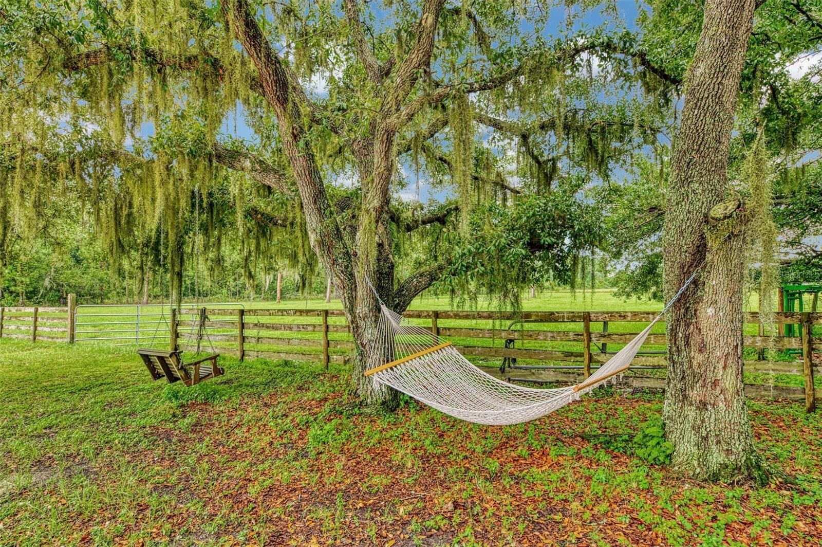 Many spots to slow down and take it all in