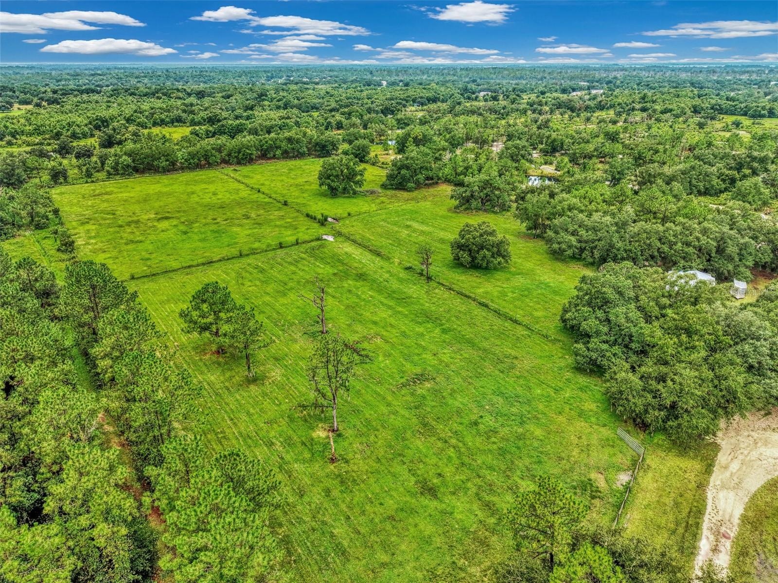 Verdant fields