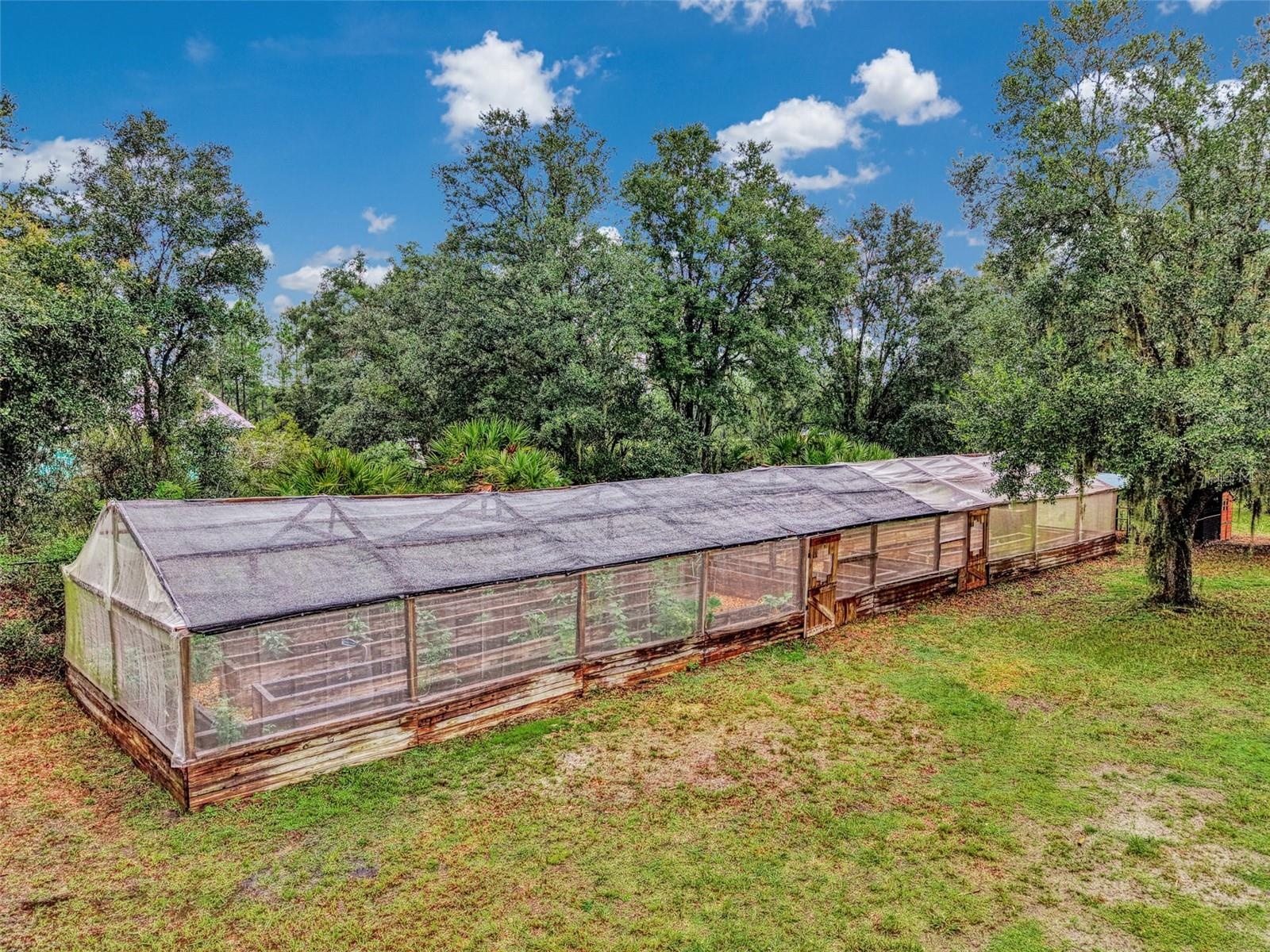 Professional sized greenhouse is ready to help you grow your own veggies and herbs