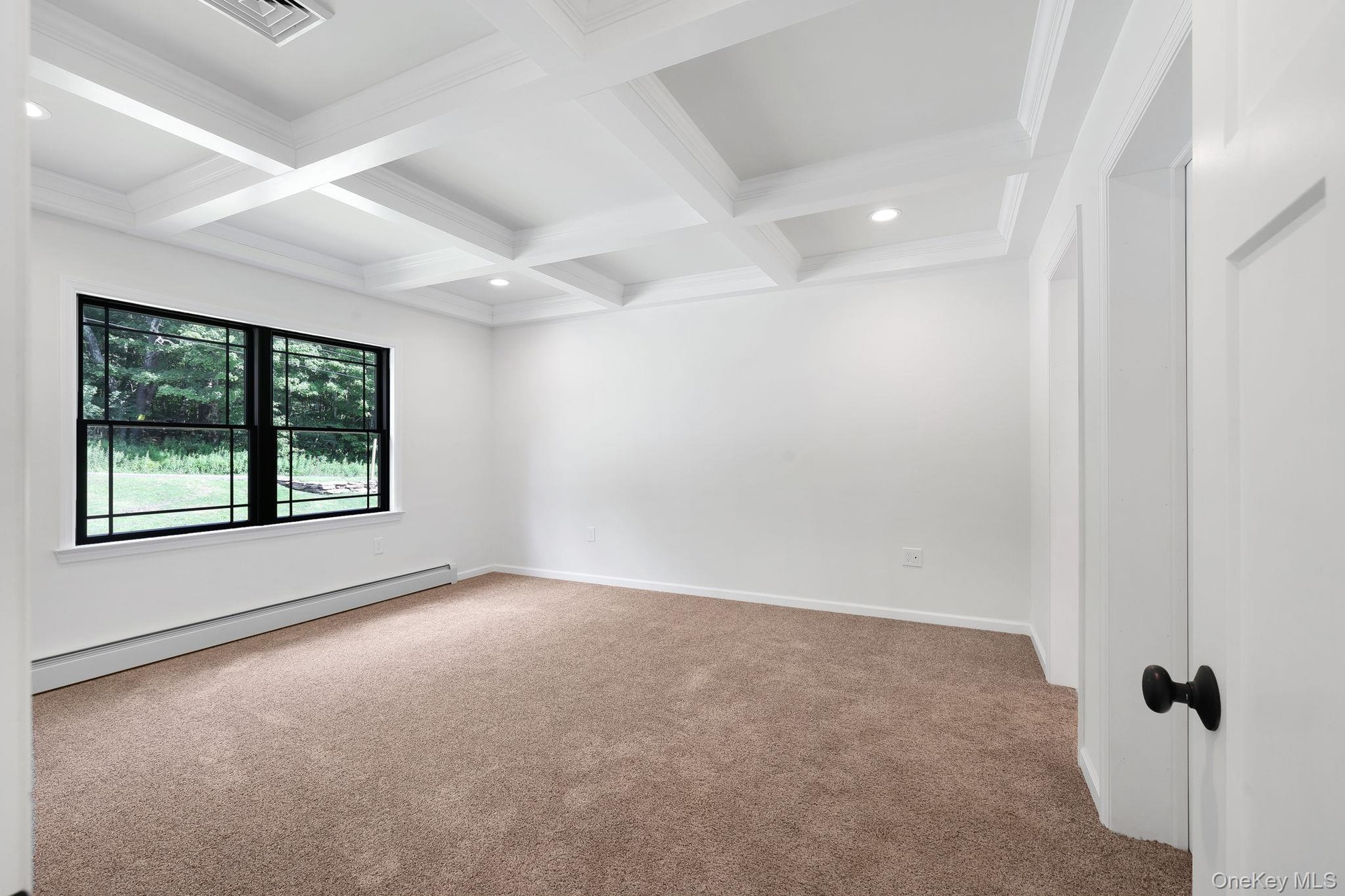 Coffered ceilings in the primary