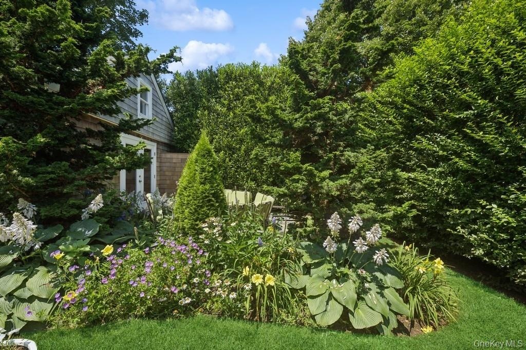 View of garden