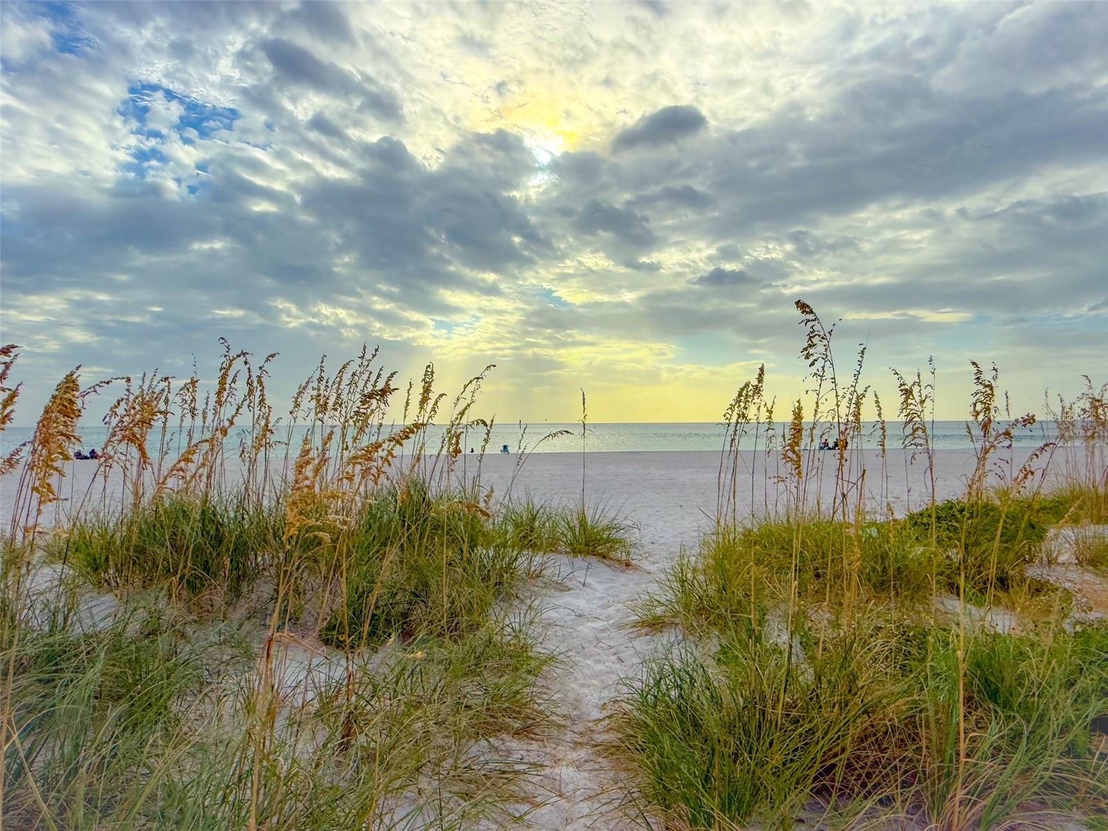 Path to the beach