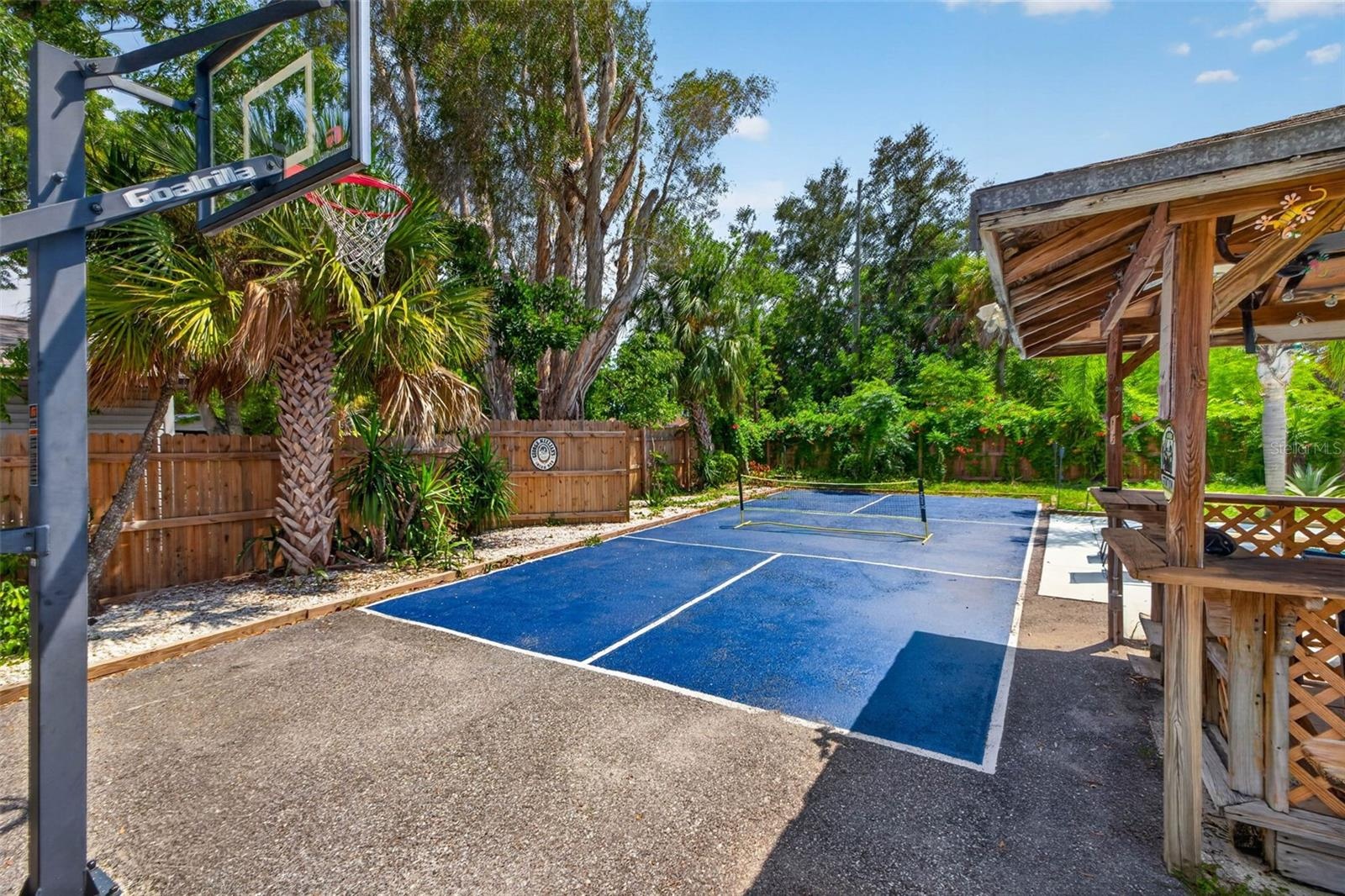 Basket ball hoop and room to play!