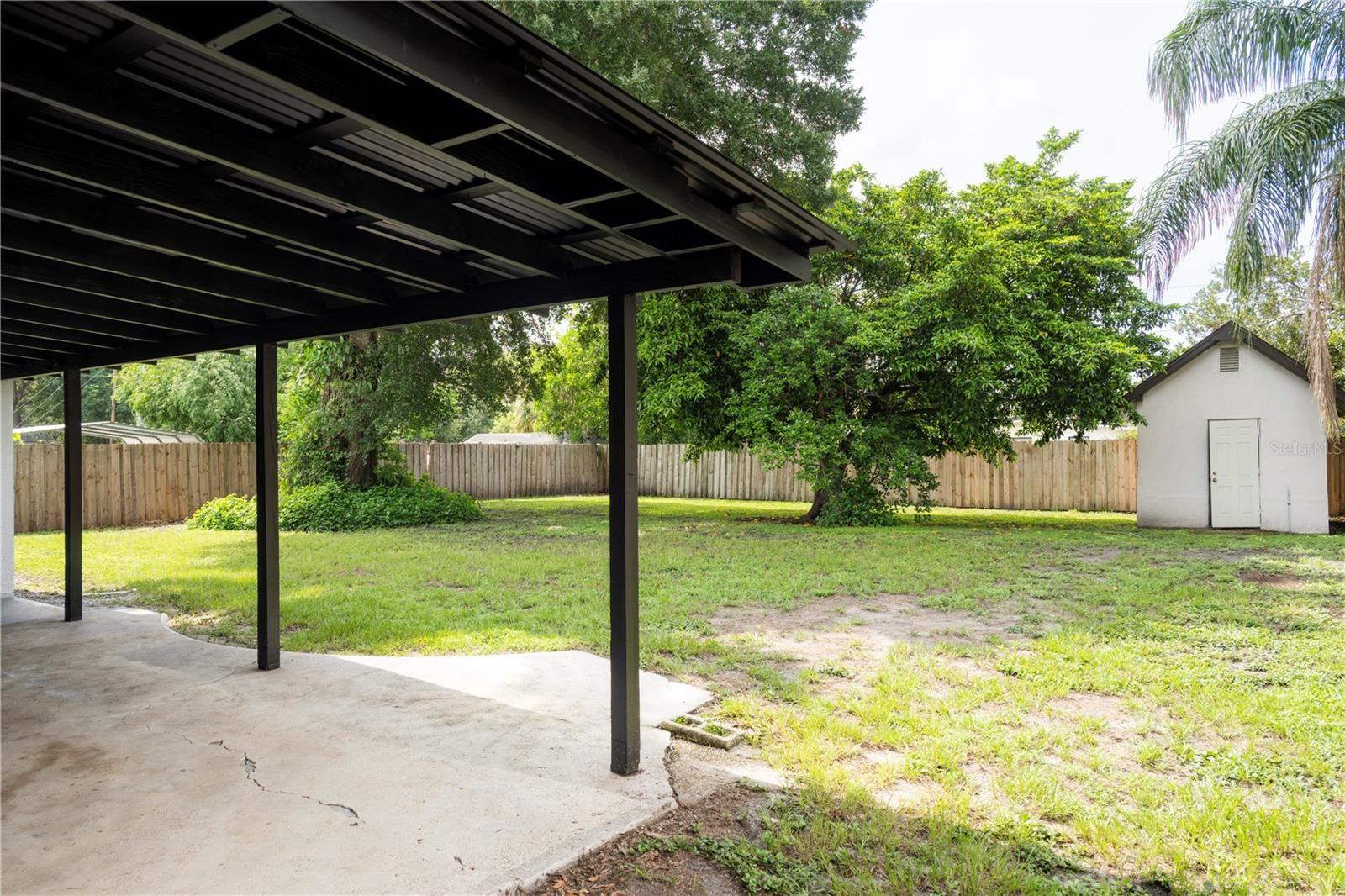 Backyard