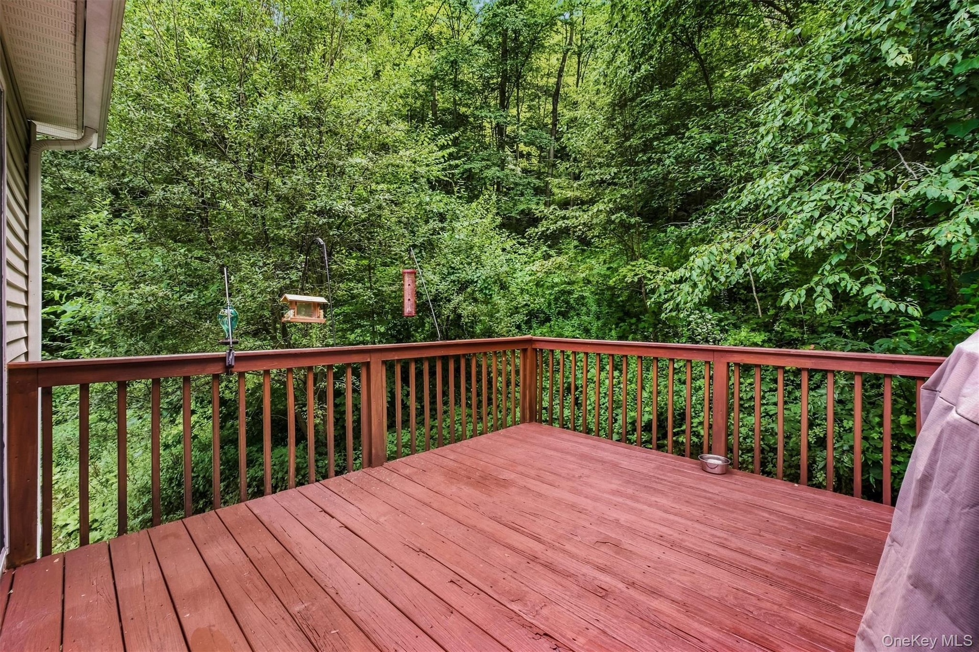 Surrounded by nature-how about adding a hot tub