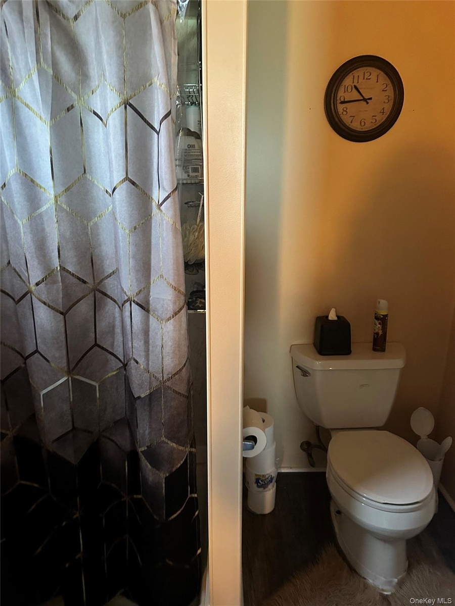 lower level full bath